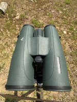 IMG_6012.jpeg