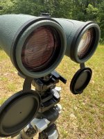 IMG_6010.jpeg