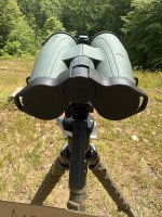 IMG_6026.jpeg