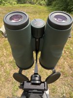 IMG_6023.jpeg