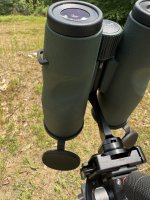 IMG_6022.jpeg