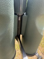 IMG_6021.jpeg