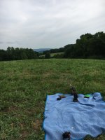 IMG_5132.jpeg