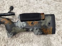 Rear.jpg