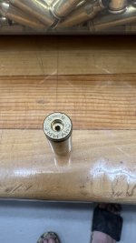 IMG_8394.jpeg