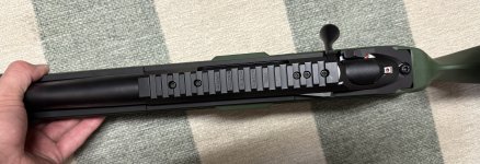 IMG_4168.jpeg