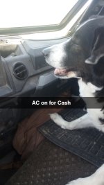 Snapchat-356579524.jpg