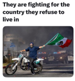 1749410308516.png