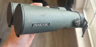 IMG_6385.jpeg