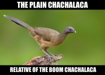 IMG_7424.jpeg