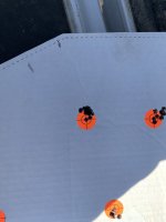 IMG_0316.jpeg