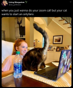 1749681125808.png
