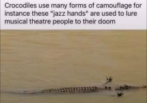 IMG_9205.jpeg