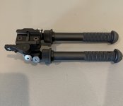 IMG_5729.jpeg