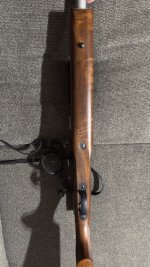 IMG_0100.jpeg