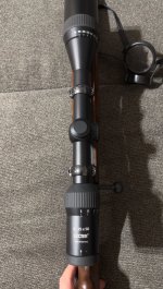 IMG_0101.jpeg