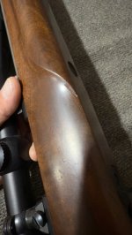 IMG_0105.jpeg