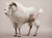 1749958610545.png