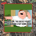 1750011197456.png