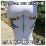 IMG_6730.jpeg