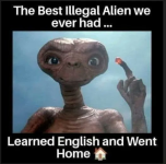1750131431274.png