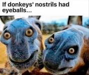 1750265412346.png