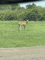 IMG_6710.jpeg