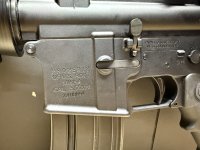 IMG_1967.jpeg