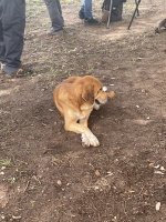 IMG_6699.jpeg