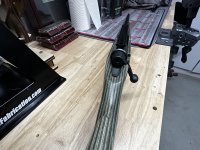IMG_7127.JPG