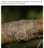 IMG_1638.jpeg