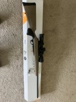 IMG_2119.jpeg