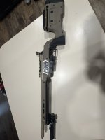 IMG_7340.jpeg