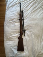 IMG_2411.jpeg