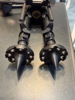 IMG_5098.jpeg