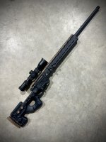 IMG_3171.jpeg