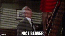 e8292023-1f34-4ba4-8b51-da4b09a143f1_text.gif