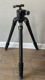 IMG_4536.jpeg