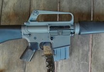 ANMP0006.jpg