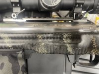 IMG_5984.jpeg