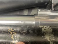IMG_5985.jpeg