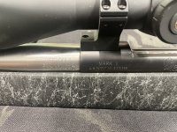 IMG_6010.jpeg