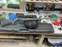 IMG_6013.jpeg