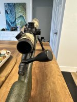 IMG_3555 (1).jpeg