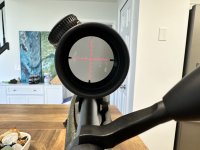 IMG_3554 (1).jpeg