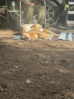 IMG_4694.jpeg
