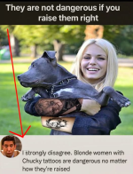 1750721797729.png