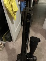 IMG_5539.jpeg