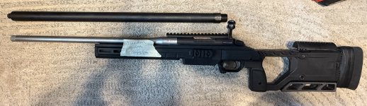 IMG_3703.jpeg