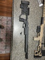 IMG_8311.jpeg